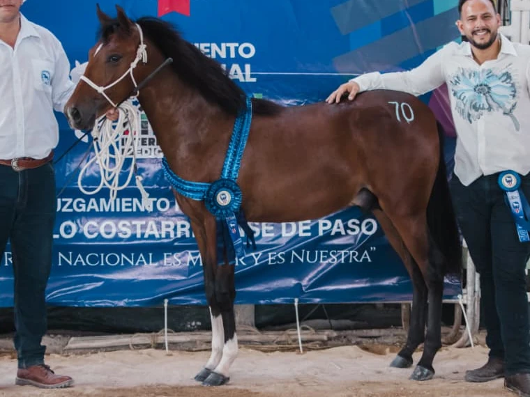 AB Tapa Roja, campeón con su banda en la Expo Liberia Internacional 2026