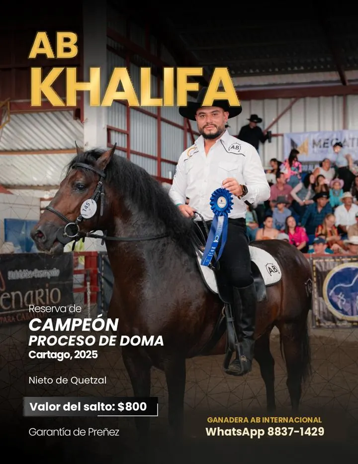Ficha del semental AB Khalifa