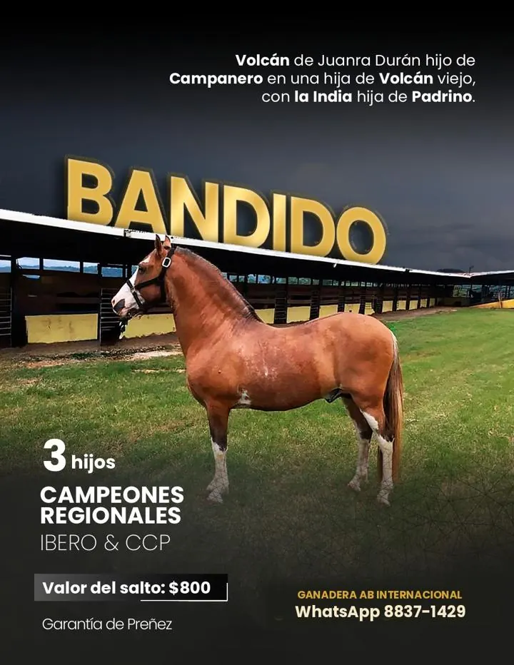 Ficha del semental Bandido